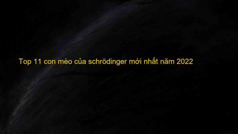 Top 11 con mèo của schrödinger mới nhất năm 2022