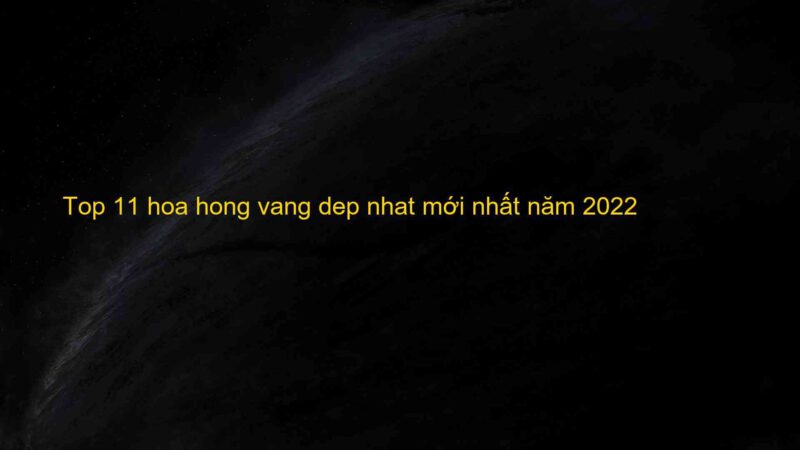 Top 11 hoa hong vang dep nhat mới nhất năm 2022