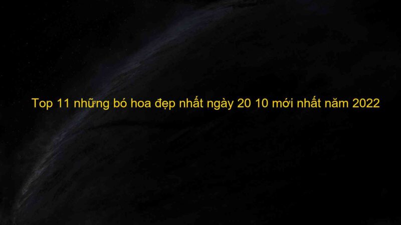 Top 11 những bó hoa đẹp nhất ngày 20 10 mới nhất năm 2022