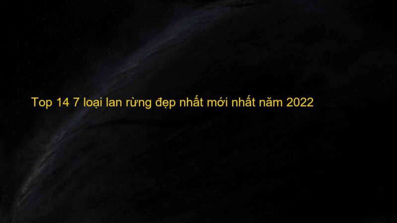 Top 14 7 loại lan rừng đẹp nhất mới nhất năm 2022