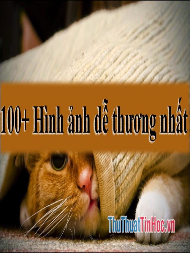 100+ Hình ảnh dễ thương nhất