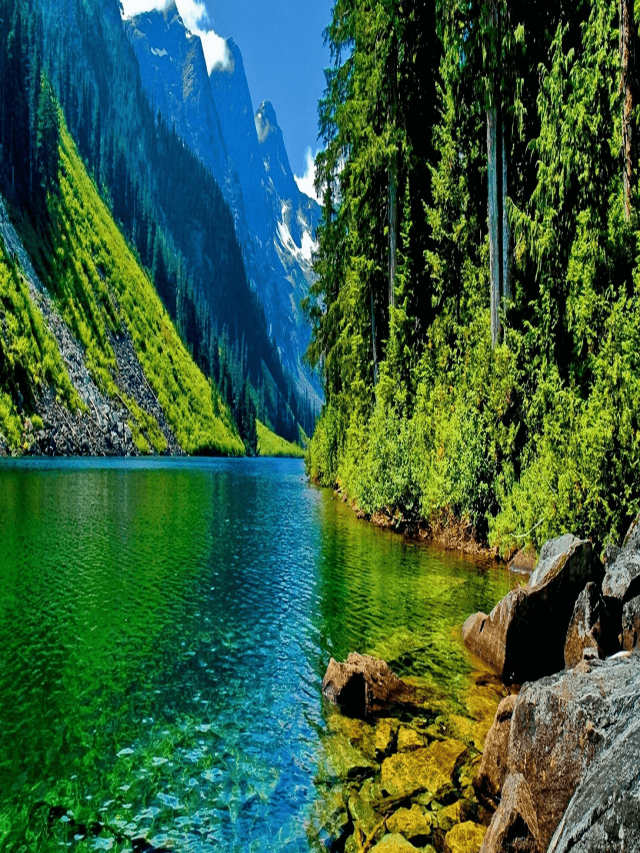 [100+] Những hình ảnh phong cảnh thiên nhiên đẹp nhất