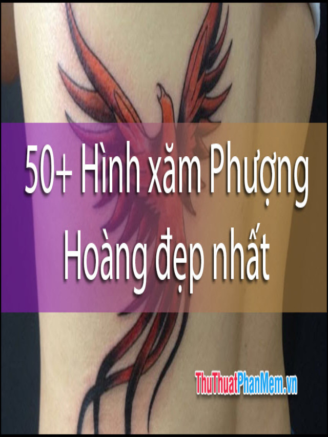 50+ Hình xăm Phượng Hoàng đẹp nhất