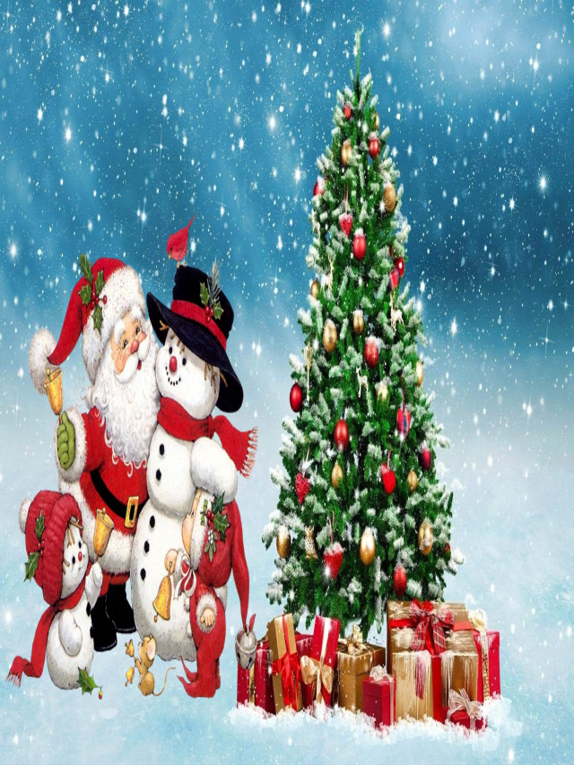 80 hình ảnh cây thông Noel đẹp, cây thông giáng sinh