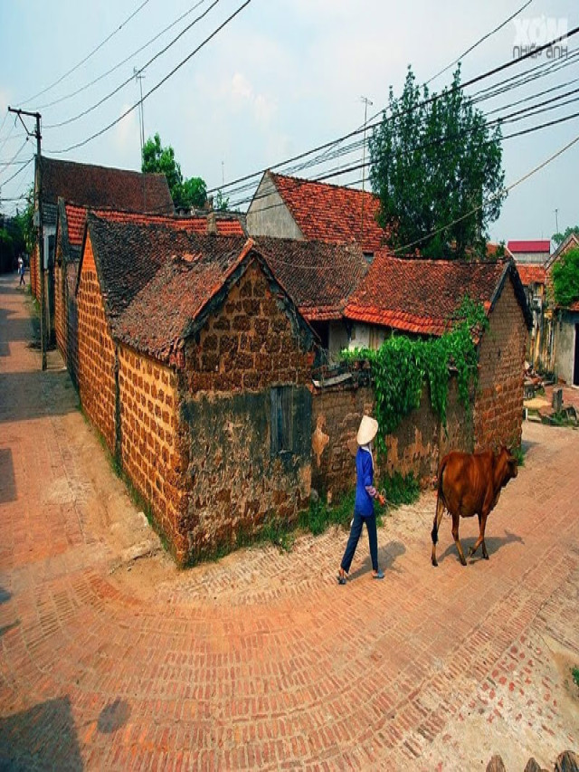 Bộ sưu tập 50+ hình ảnh làng quê Việt Nam ngày xưa yên bình nhất