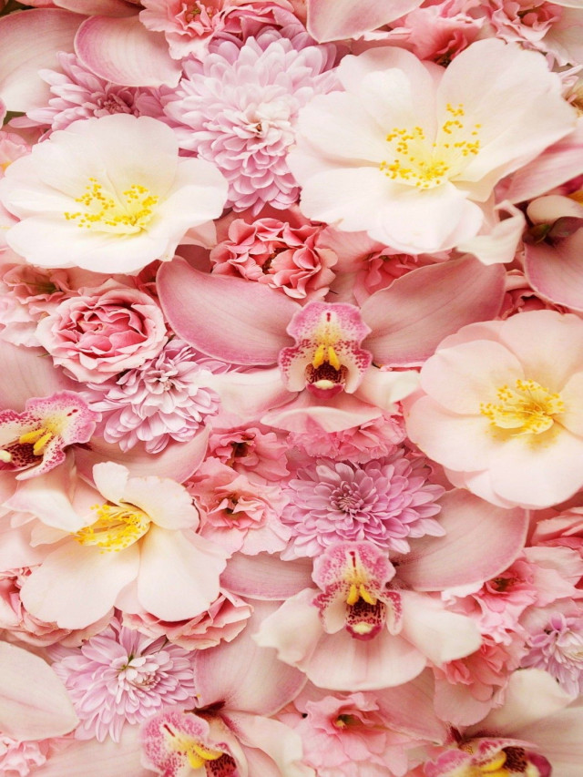 BST hình nền hoa tuyệt đẹp cho điện thoại | Hình nền đẹp cho ĐTDĐ