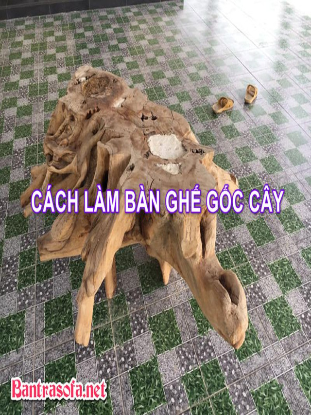 Cách Làm Bàn Ghế Gốc Cây Độc Đáo Không Đụng Hàng