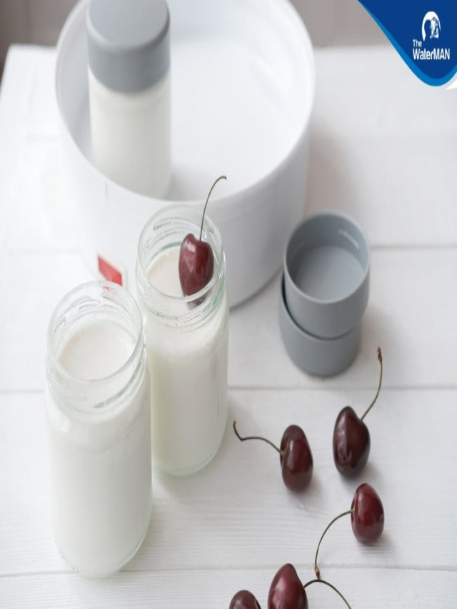Top 10+ cách làm sữa chua mịn và dẻo hot nhất