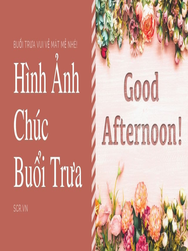 Hình Ảnh Chúc Buổi Trưa Vui Vẻ ❤️ Ảnh Chúc Bữa Trưa Đẹp - Sữa non Alssafaa Life dành cho mẹ bầu