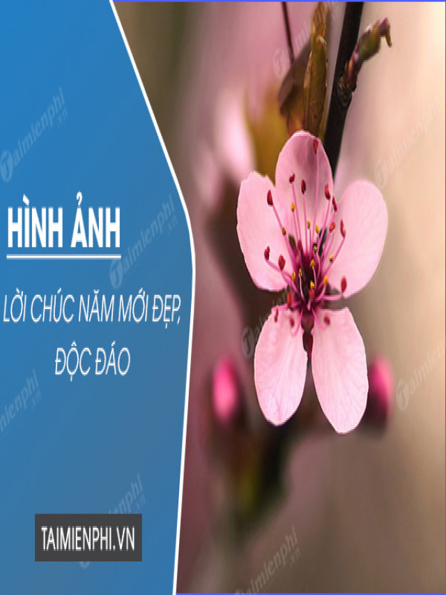 Hình ảnh lời chúc đầu năm mới 2022 Nhâm Dần hay, độc đáo - GIA CÔNG REAL