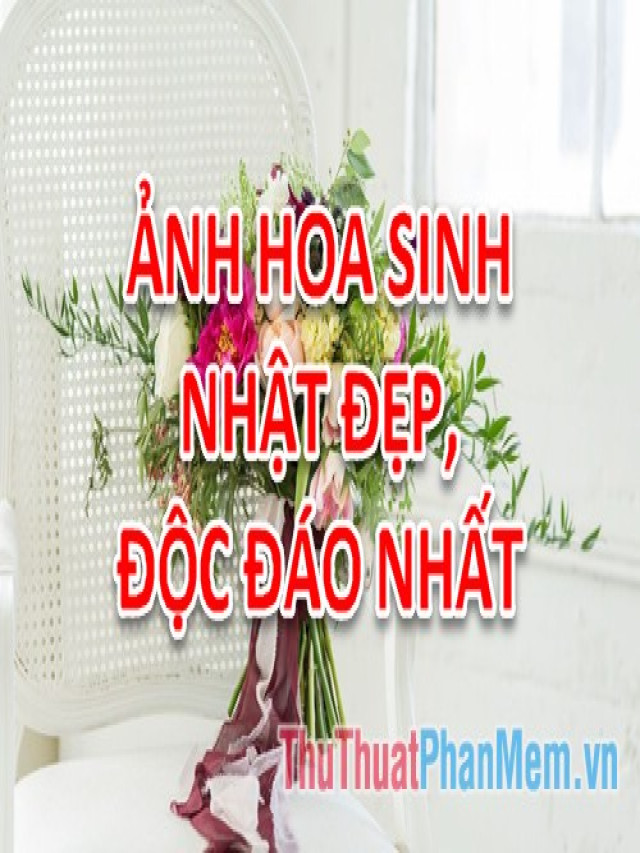 Hoa sinh nhật độc đáo - Tổng hợp ảnh hoa sinh nhất đẹp, độc đáo nhất