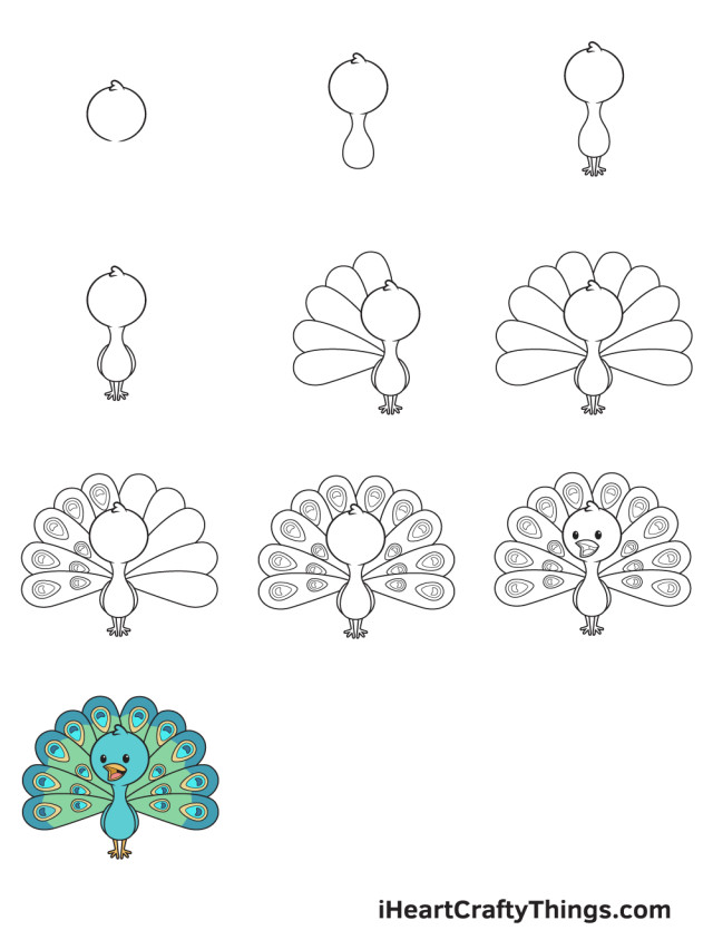 Hướng dẫn chi tiết cách vẽ con công xòe đuôi gồm 9 bước cơ bản