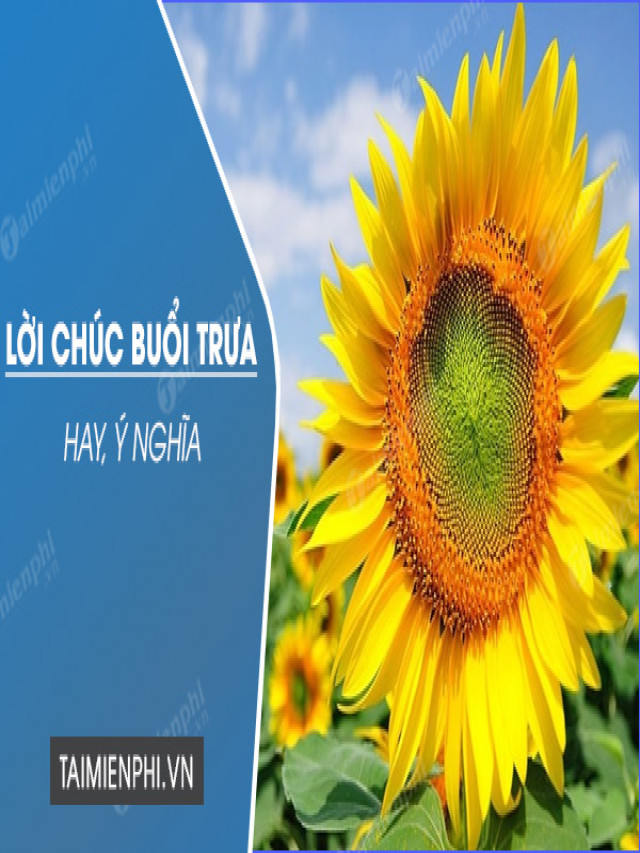 Lời chúc buổi trưa hay nhất và ý nghĩa, độc đáo