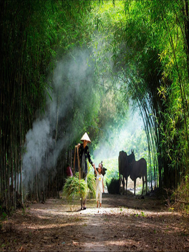 [Ngắm nhìn] Hình ảnh làng quê Việt Nam yên bình, mộc mạc