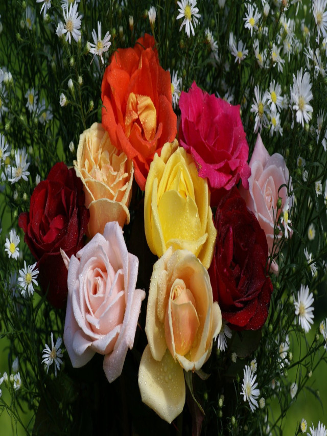 Những bó hoa hồng đẹp nhất thế giới dành tặng người yêu