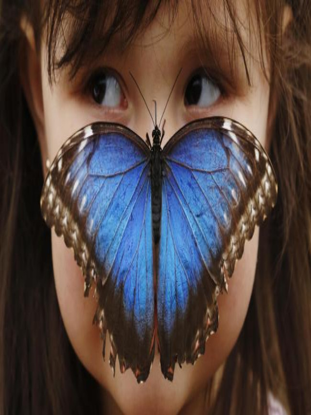Những con bướm đẹp nhất hành tinh và những sự thật và dấu hiệu thú vị về chúng. Con bướm đẹp nhất. Tên của loài bướm đẹp nhất trên thế giới
