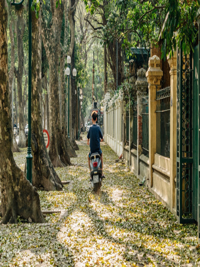 Những cung đường đẹp nhất Hà Nội vào mùa thu
