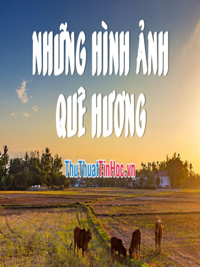 Những hình ảnh quê hương đẹp nhất