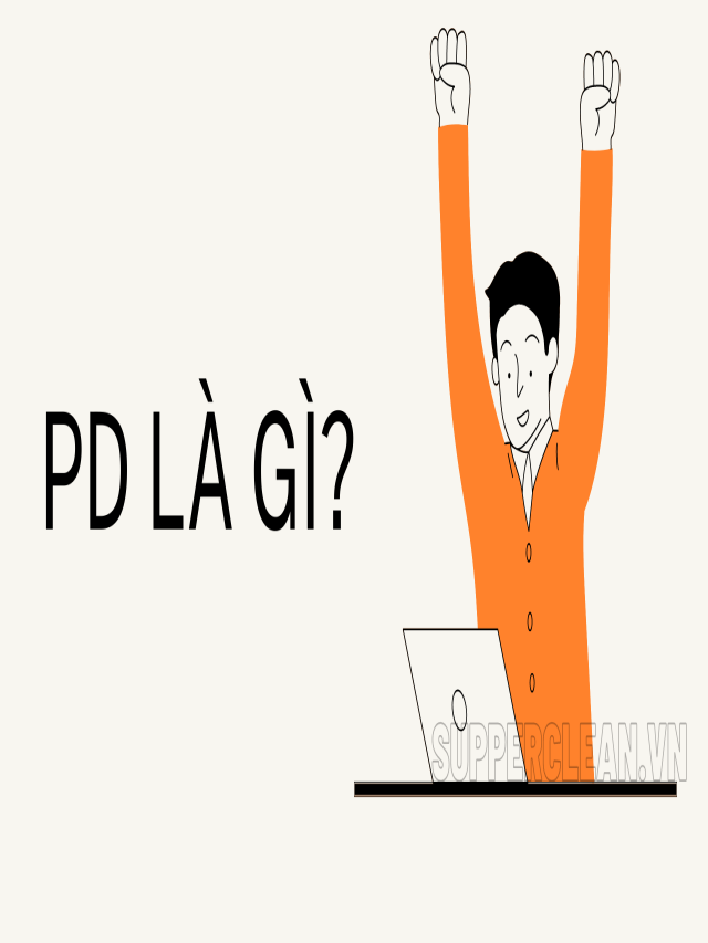 PD là gì? Khám phá những điều thú vị về nghề PD - Trangwiki