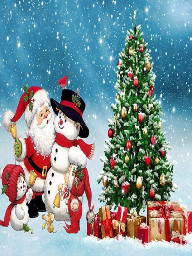 Top 12 hình ảnh cây thông Noel đẹp nhất tải về Miễn Phí - Ngọc Hoàng Blog