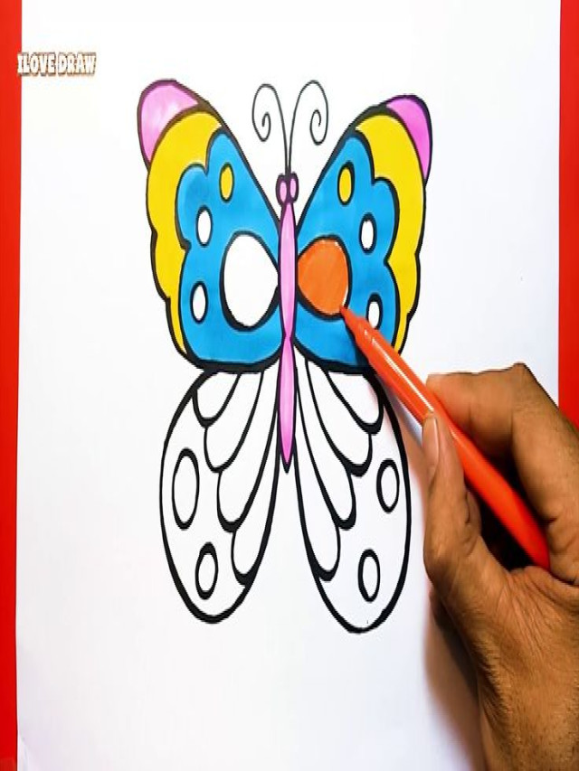 Top 14 cách vẽ con bướm đẹp hay nhất 2022
