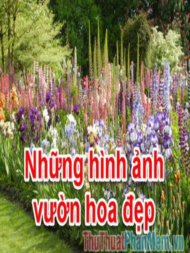 Vườn hoa đẹp - Những hình ảnh vườn hoa đẹp nhất