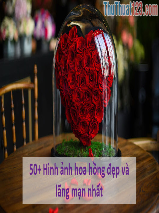 50+ Hình ảnh hoa hồng đẹp và lãng mạn nhất