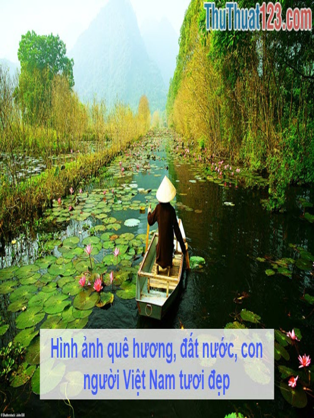 Hình ảnh quê hương, đất nước, con người Việt Nam tươi đẹp