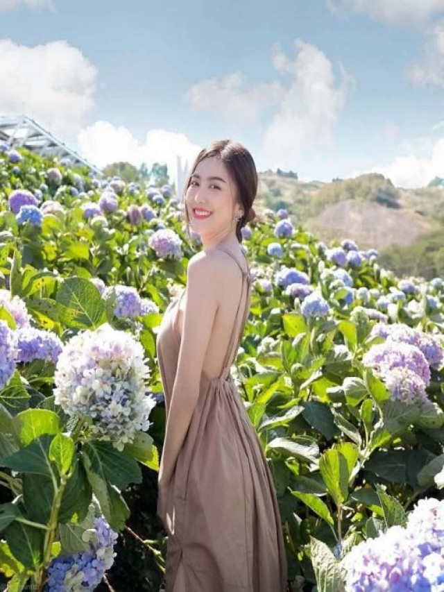 Top 10 vườn hoa Đà Lạt | Những cánh đồng hoa đẹp ở Đà Lạt