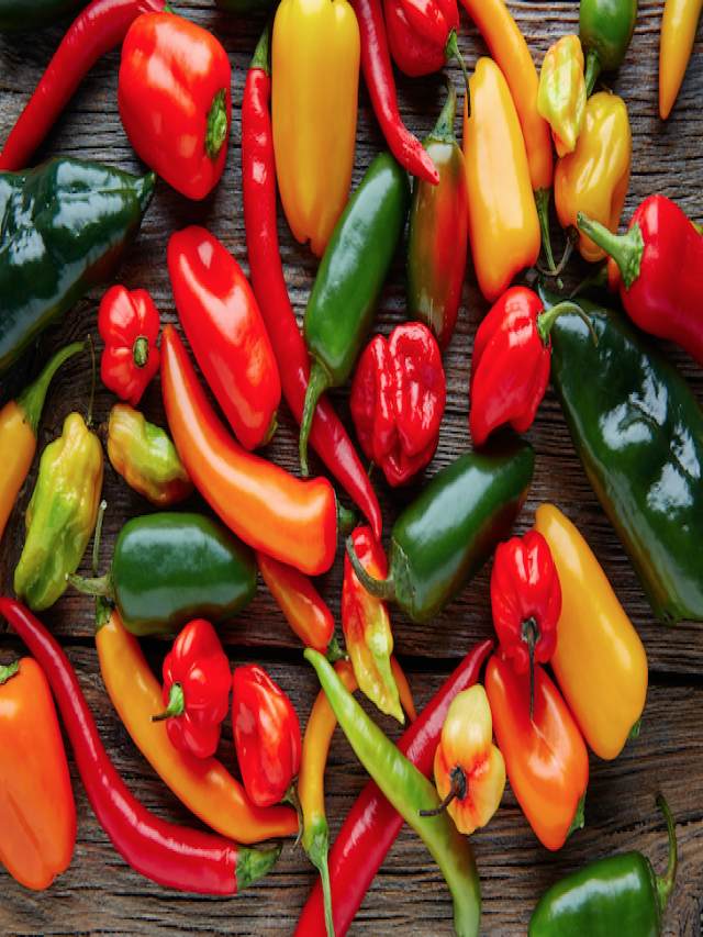 Wilbur Scoville: Measuring the Spiciness of Hot Peppers - Gooroo Blog